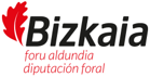 Logo Diputación Foral de Bizkaia