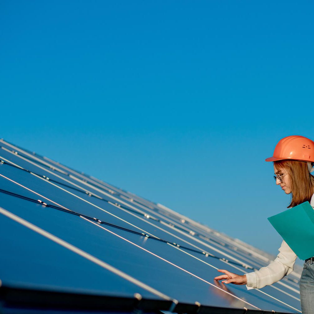 proyectos-id-ceindus-edinor